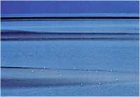 Franco Costantini "Laguna n° 2" - Sez. Diapositive a Colori Cat. Paesaggio 1° Premio