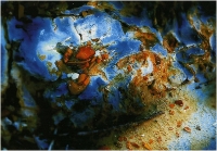 Raoul Iacometti "Massa Marittima, Colline Metallifere 2" - Sez. CLP Natura 1° Premio