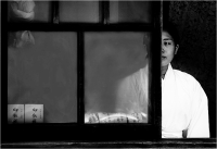 Mario Rossetti "Dietro la finestra" - Sez. I.P. Tema Libero 1° Premio