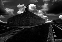 Gabriele Bandinelli “Cimitero militare germanico Passo della Futa 1” - Sez. RRSP 1° Premio