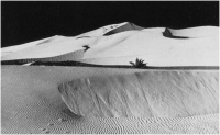Giovanni Gallina "Dune" - Sez. Tema Libero BN Cat. Paesaggio 1° Premio Truciolo d'Argento