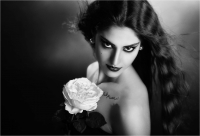 TambèGiuseppe "The white rose"