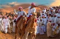 Montini Giulio "Camel race 4"