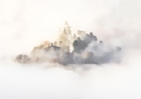 Panzavolta Massimo "Nebbia 5"