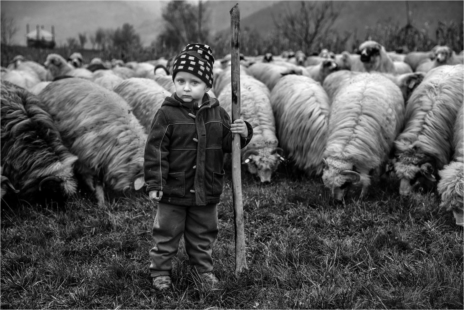Bardossi Virgilio "Little shepherd"
