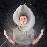 Anna Signorini "Io fiore 3" - Sez. RRSP Premio ex-aequo