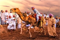 Giulio Montini "Camel race 2" - Sez. IP Colore Premio ex-aequo