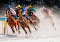 Massimo Zanotti "White turf" - Premio speciale Sport
