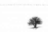 Albertini Paolo "Small hidden secrets (2019)"