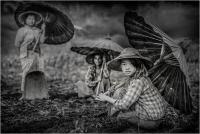 Tommi Massimo "Rain end end" (2020)