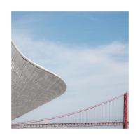 Agosta Davide "Linee curve" (2019)