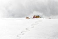 Berton Nazzareno "Rifugio larici" (2019)