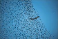 Giovampaoli Massimiliano "Follow me" (2019)