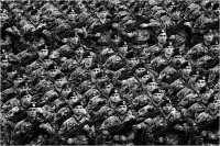 Bolognesi Laura - Paratroopers (2020)