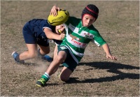 Becorpi Fabio - Young rugby YM01 (2021)