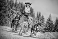 Boscato Adriano - Sleddog 80 (2022)