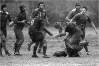 Cerrai Roberto - Rugby 15 (2022)