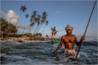 Tommi Massimo - Srilankan fisherman (2022)