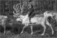 Zagolin Sandra - Riding the reindeer (2022)