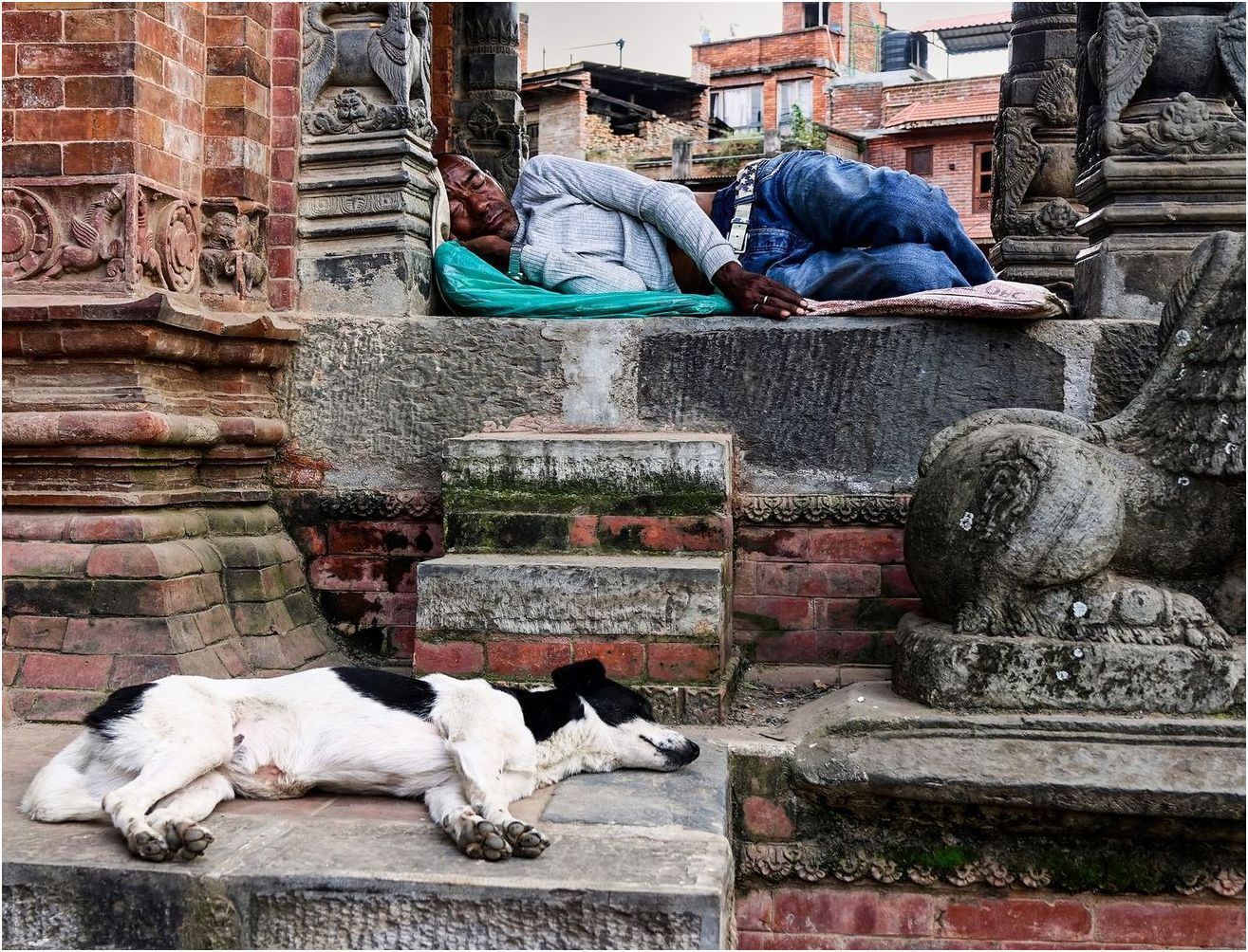 Sancandi Ivana - Homeless friends (2023)
