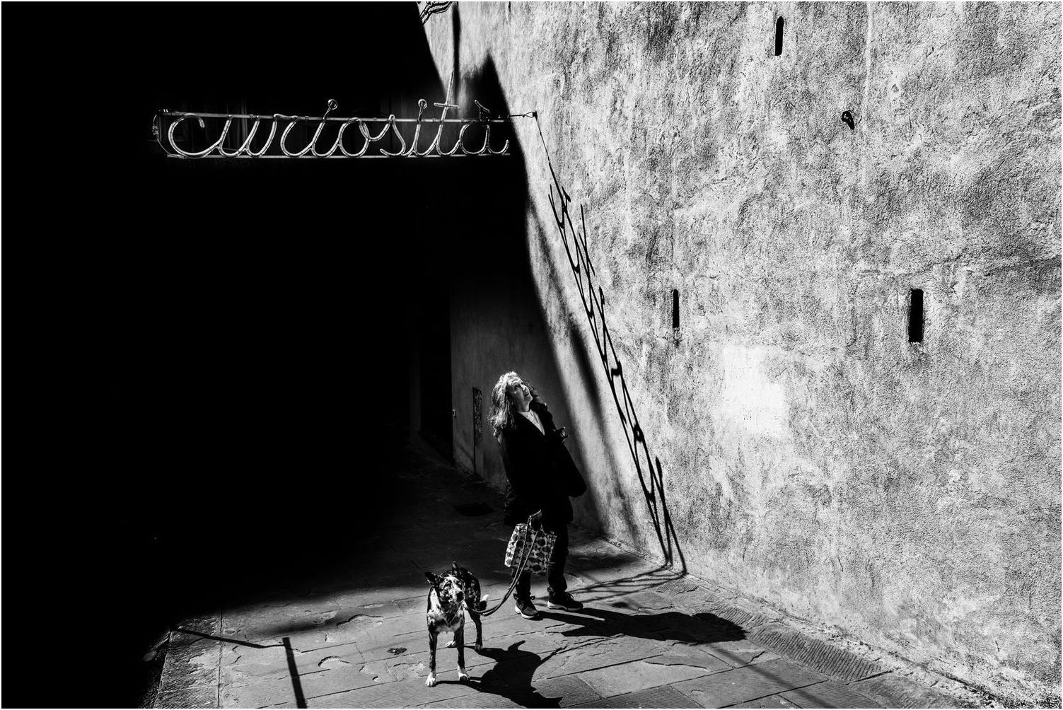 Tavaroli Paolo - Curiosity (2023)