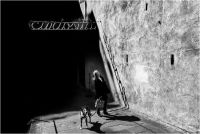Tavaroli Paolo - Curiosity (2023)