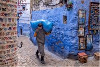 Zagolin Sandra - The blue bag (2023)